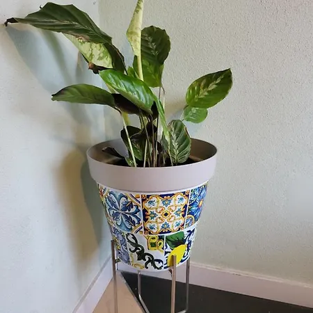 A Casa Di Luca Pensjonat Mediglia